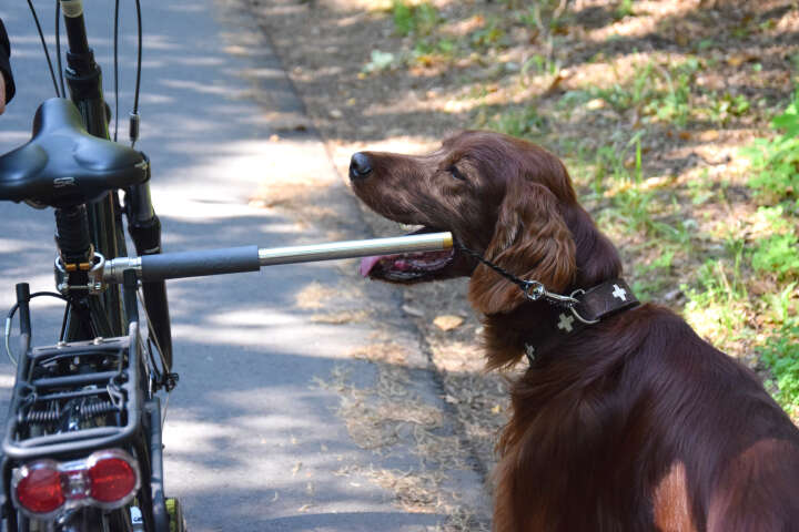 dobar Fahrradleine Walky Dog Plus